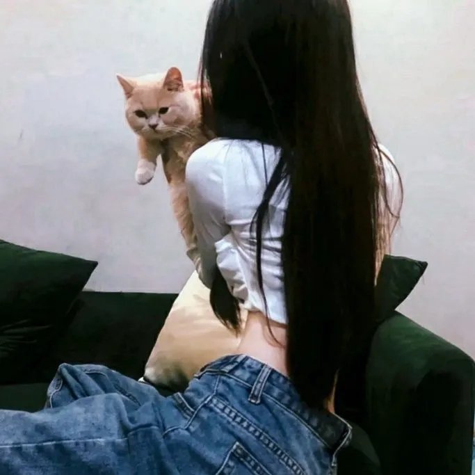 义犬奇行录