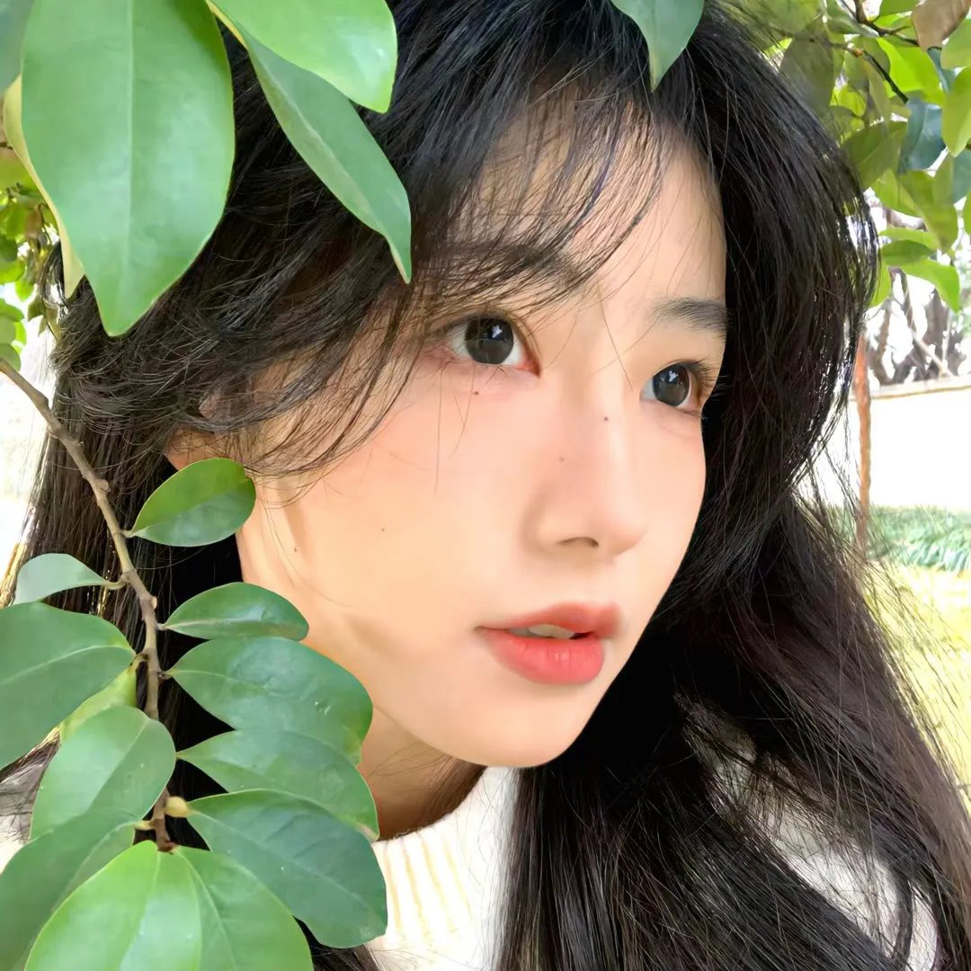 兄妹之地