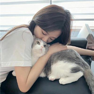 网中的太阳